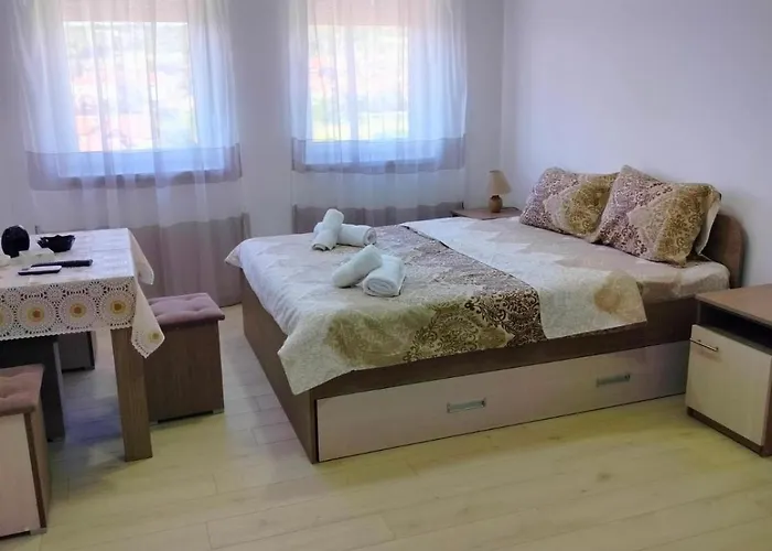 Marija 21 소코 반자