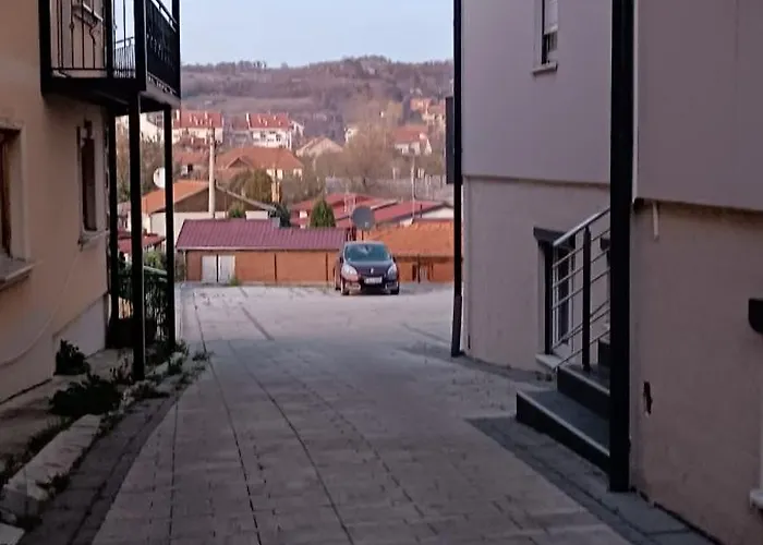 Marija 21 소코 반자